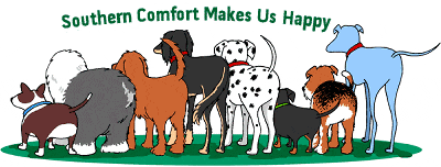 dog grooming shop owner